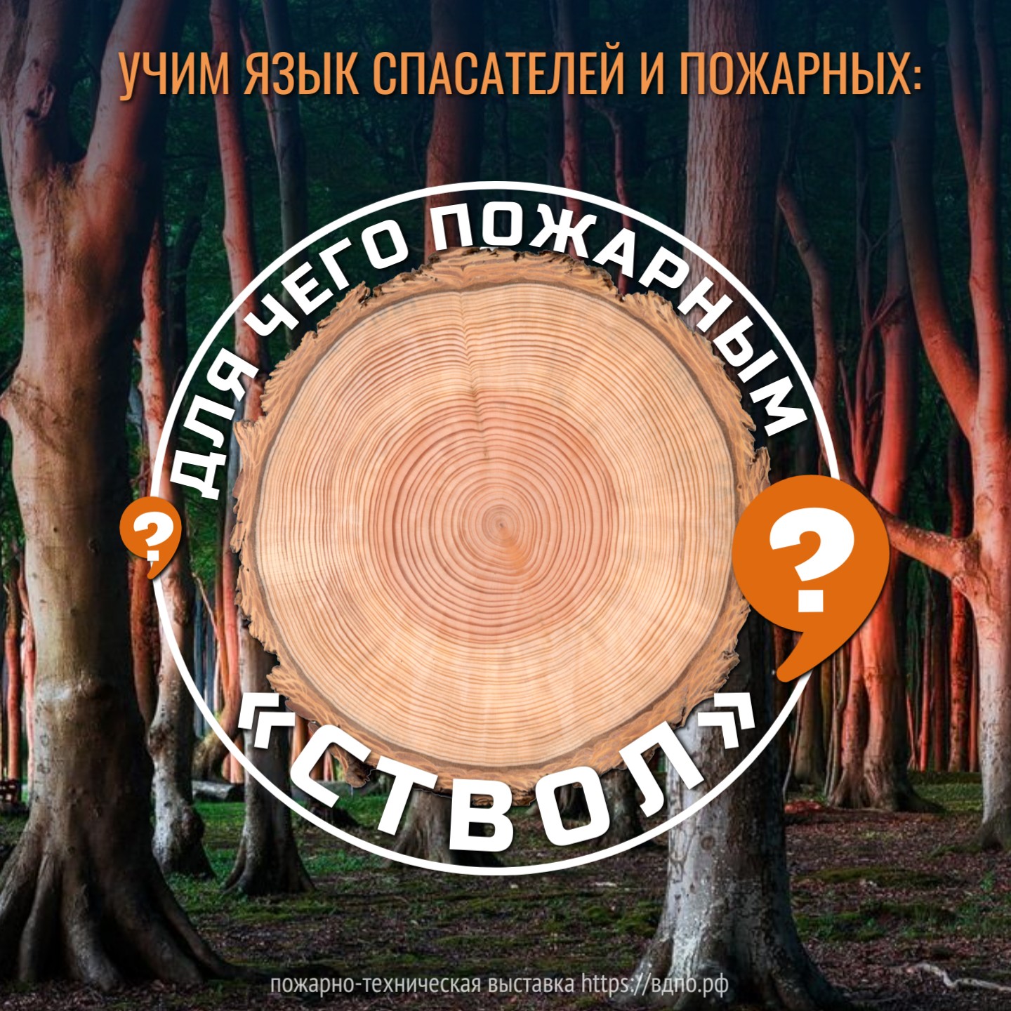 Зачем пожарные используют ствол?. Это интересно! Интересные (занимательные)  факты о пожарных, спасателях, добровольцах на портале ВДПО.РФ